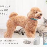 Pet Voice（ペットボイス）、シードラウンドで6000万円の第3者割当増資を実施