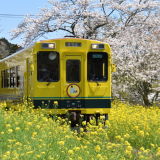 鉄道業界DX化｜予約から乗車まで便利で安全に